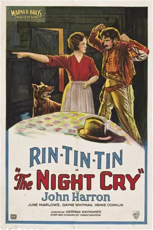 Постер: The Night Cry