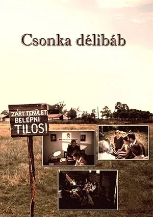 Постер: Csonka délibáb