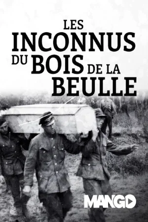 Постер: Les Inconnus du bois de la Reulle