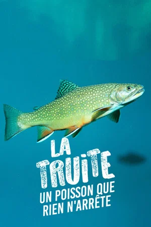 Постер: Trout; A Fish that Nothing can Stop
