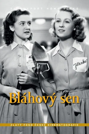 Постер: Bláhový sen