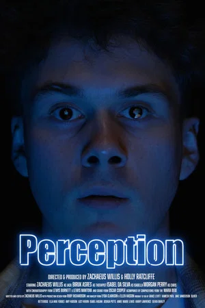 Постер: Perception