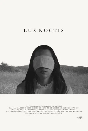Постер: Lux Noctis