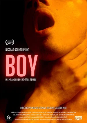 Постер: Boy