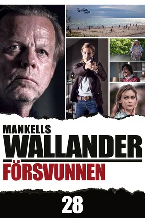 Постер: Wallander: Missing