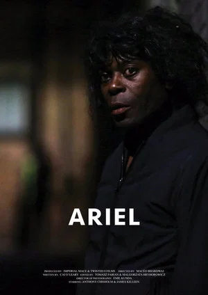 Постер: Ariel