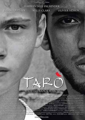Постер: Taro