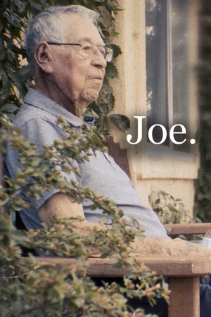 Постер: Joe.