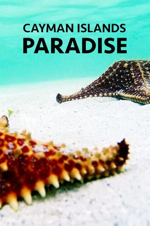 Постер: Cayman Islands: Paradise