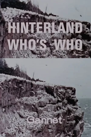 Постер: Hinterland Who's Who: Gannet
