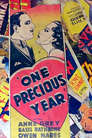 Постер: One Precious Year