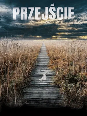 Постер: The Passage