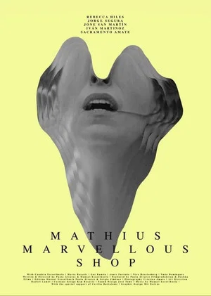 Постер: Mathius Marvellous Shop