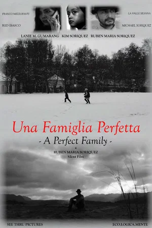 Постер: A Perfect Family
