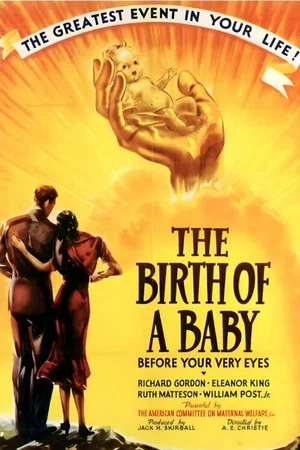 Постер: The Birth of a Baby