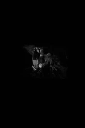 Постер: Nocturnum