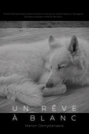 Постер: Un rêve à blanc