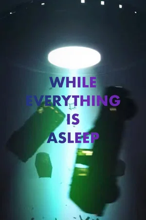 Постер: While Everything is Asleep