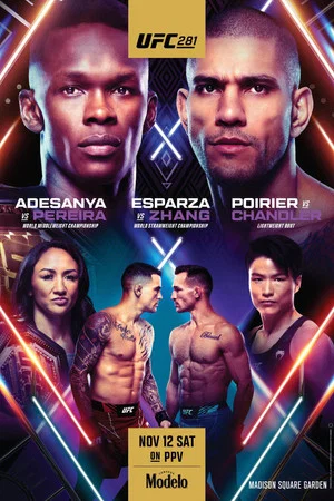 Постер: UFC 281: Adesanya vs. Pereira