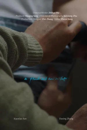 Постер: A Flash and How It Lasts