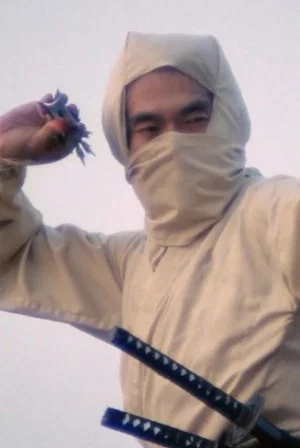 Постер: Re-Enter the 'New York Ninja'