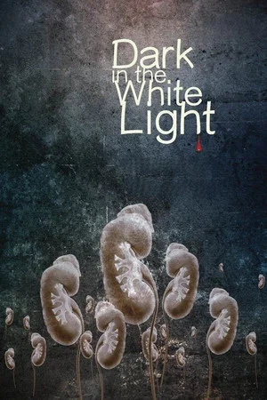 Постер: Dark in the White Light