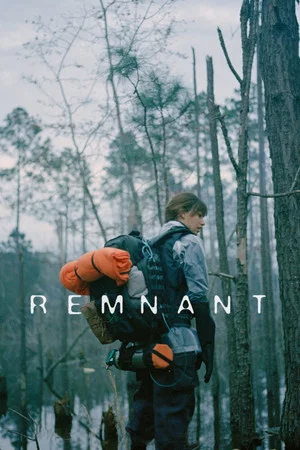 Постер: Remnant