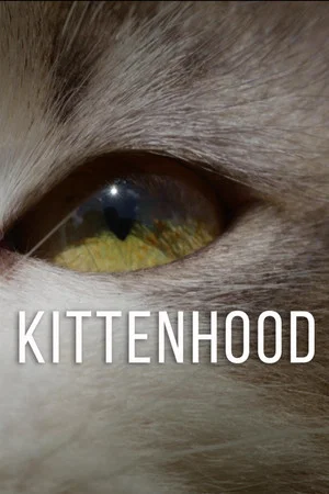 Постер: Kittenhood