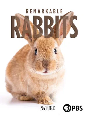 Постер: Remarkable Rabbits