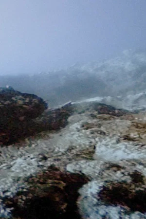 Постер: Careless Reef part 3