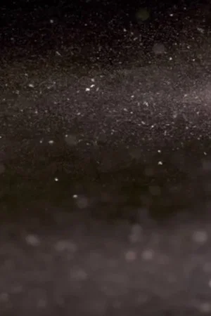Постер: Talk with Dust