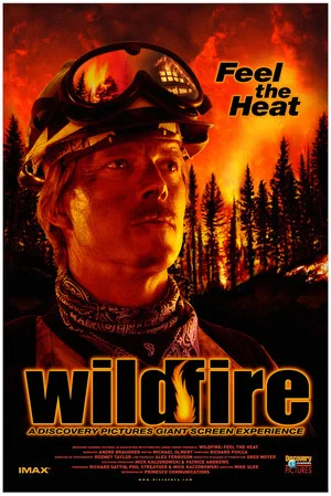 Постер: Wildfire: Feel the Heat