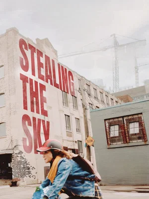 Постер: Stealing the Sky