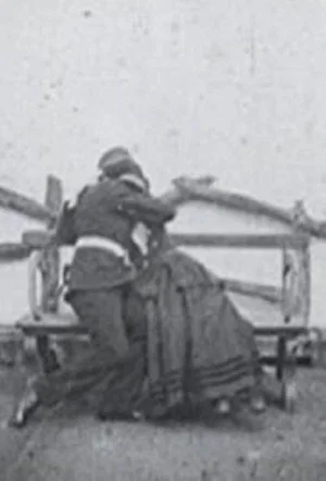 Постер: The Soldier's Courtship