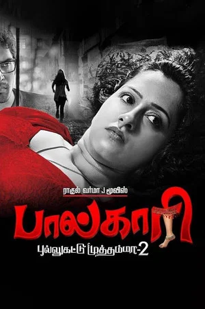 Постер: Paalkaari