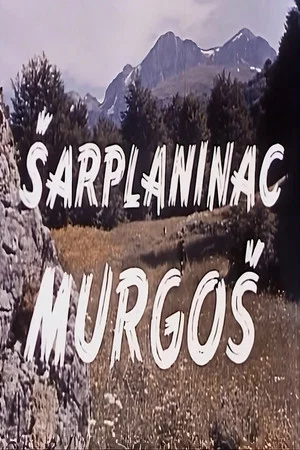 Постер: Murgosh - The Sharplaninec