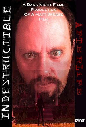 Постер: Indestructible: Afterlife