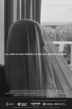 Постер: La curvatura perfecta de una espina dorsal