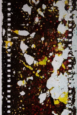 Постер: Salt Crystals Spiral Jetty Dead Sea Five Year Film