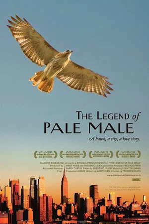 Постер: The Legend of Pale Male