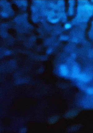 Постер: Universal Consciousness