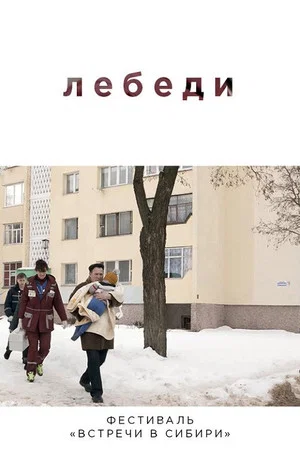 Постер: Лебеди