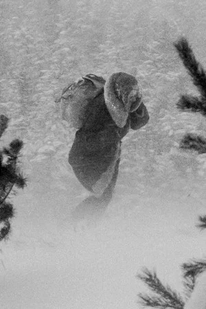 Постер: The Mountain