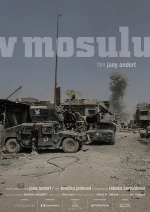 Постер: Inside Mosul
