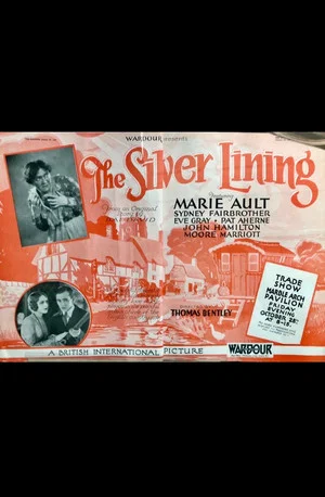 Постер: The Silver Lining
