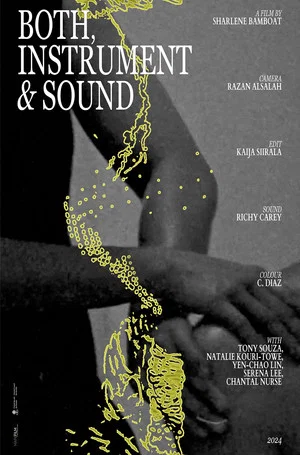 Постер: Both, Instrument & Sound