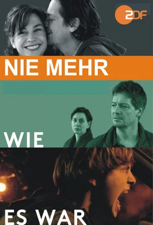 Постер: Nie mehr wie es war