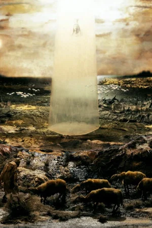 Постер: And They Saw a Great Sign In Heaven