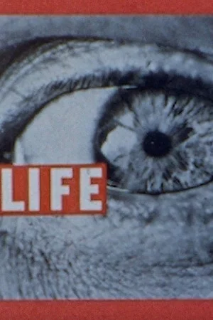 Постер: Life Life Life