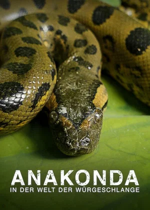 Постер: Anaconda: Silent Killer